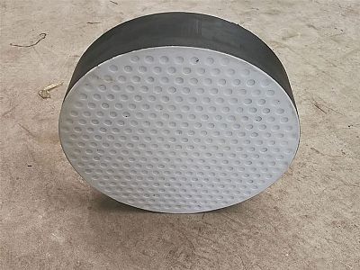 竞秀区四氟板式橡胶支座易于更换缓冲隔震
